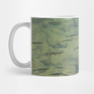 River Fish Mug